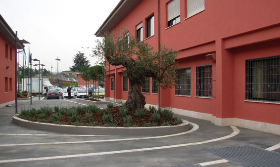 Ciampino - Uffici Comunali e Biblioteca